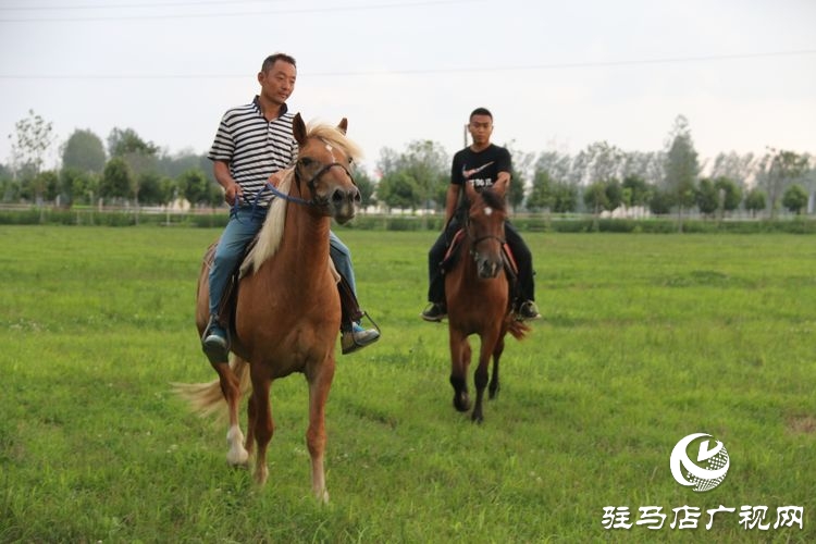 平輿縣李屯鎮小毛驢農場讓你體驗水上狂歡清涼一夏