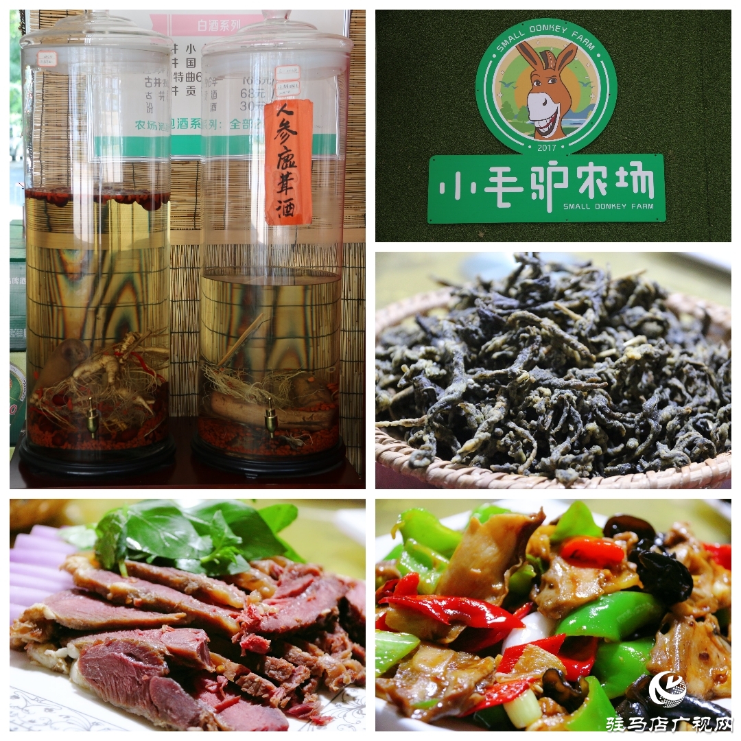 平輿縣李屯鎮小毛驢農場讓你體驗水上狂歡清涼一夏