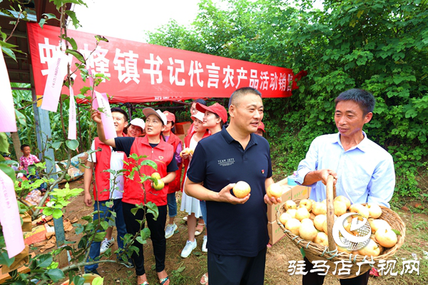 河南駐馬店驛城區：脫貧戸梨園開園 書記代言全部銷完