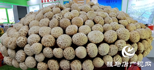 第二十三屆中國農加工投洽會上 “土”味足
