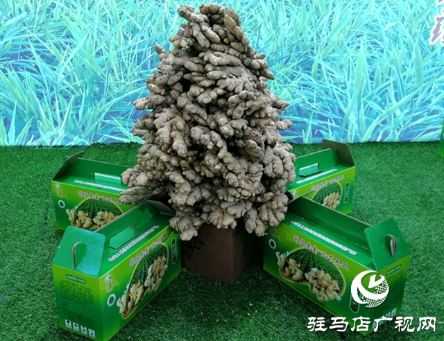 第二十三屆中國農加工投洽會上 “土”味足