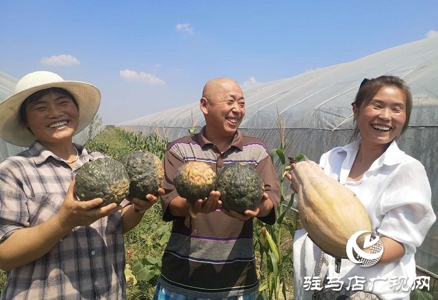 驛城區朱古洞鄉：瞄準“餐桌”經濟 帶民脫貧奔小康