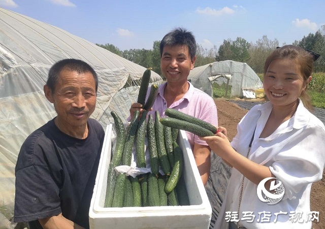 驛城區朱古洞鄉：瞄準“餐桌”經濟 帶民脫貧奔小康