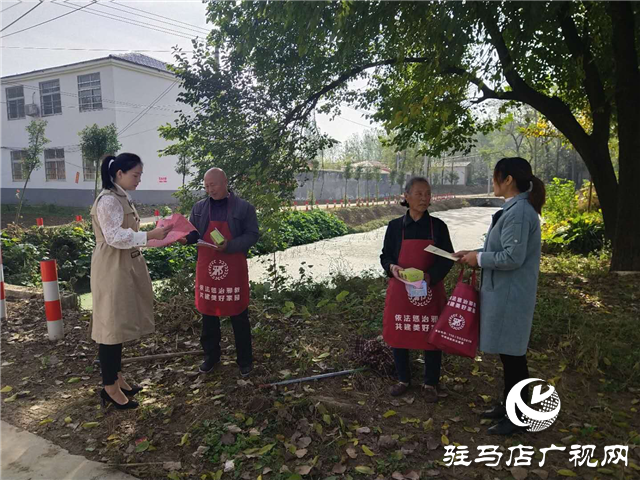 平輿縣玉皇廟鄉開展反邪教宣傳活動