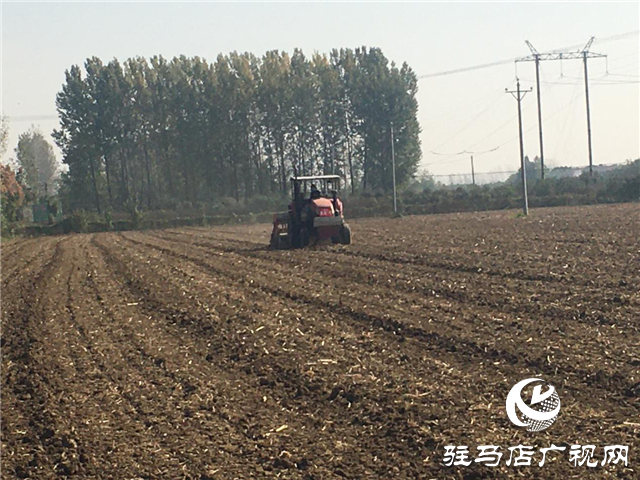 噸源種業召開“福高2號”播種現場會