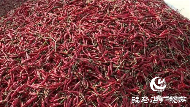 攜手北沃 見(jiàn)證豐收 ——北沃高鈣肥再顯神威，表現(xiàn)驚艷眾人！
