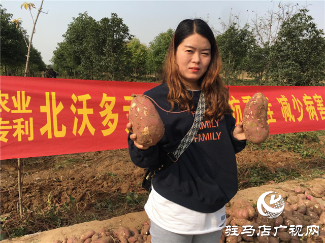 攜手北沃 見(jiàn)證豐收 ——北沃高鈣肥再顯神威，表現(xiàn)驚艷眾人！