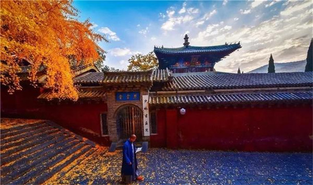 “古剎秋景惹人醉，金色滿園迎賓朋”——嵩山少林寺千年銀杏已到了一年之中最美時節(jié)！