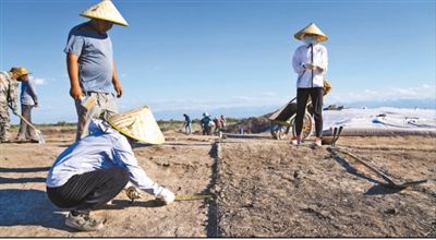 遺址格局逐步清晰，歷史文化內涵日益豐富  北庭故城考古發現不斷深入
