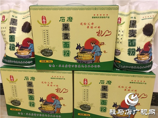 噸源種業組織召開小麥播種現場會