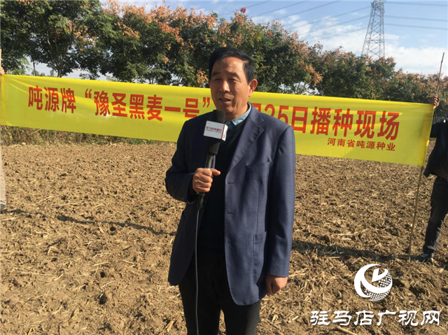 噸源種業組織召開小麥播種現場會