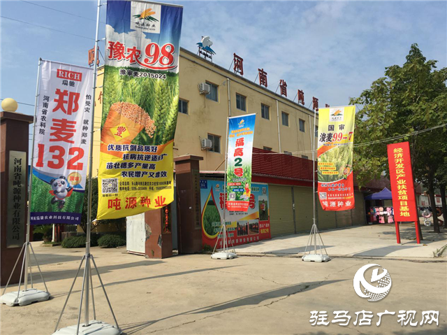 噸源種業組織召開小麥播種現場會