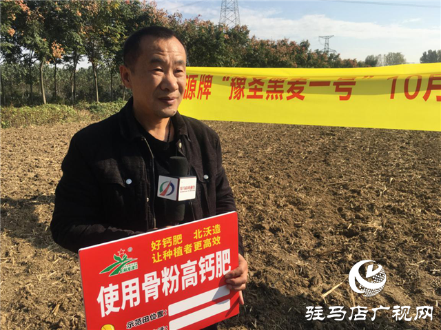噸源種業組織召開小麥播種現場會