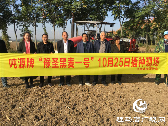 噸源種業組織召開小麥播種現場會