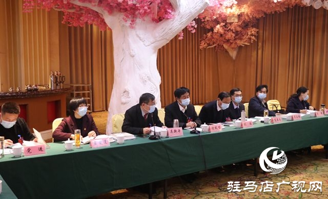 駐馬店市政協委員分組討論政協常委會工作報告和提案工作報告
