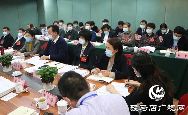 駐馬店市政協委員分組討論政協常委會工作報告和提案工作報告