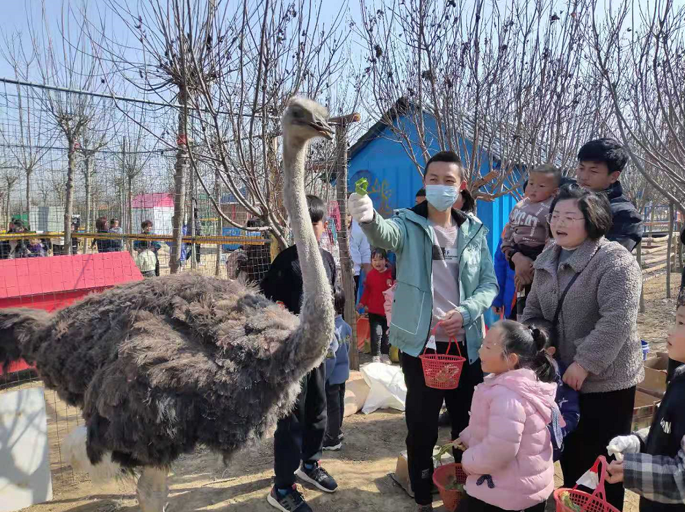 “播種希望·擁抱未來”植樹節戶外體驗活動開始啦！