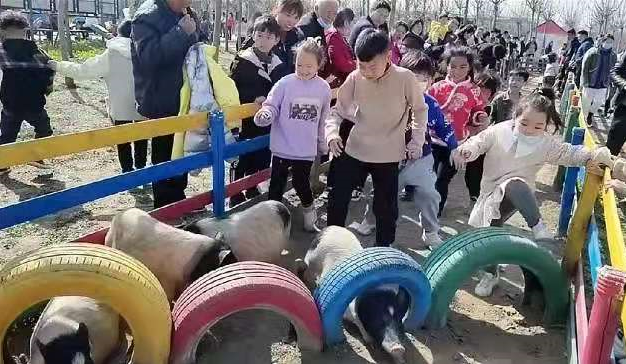 “播種希望·擁抱未來”植樹節戶外體驗活動開始啦！