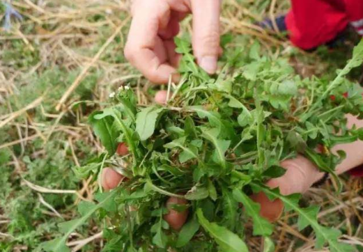 “播種希望·擁抱未來”植樹節戶外體驗活動開始啦！