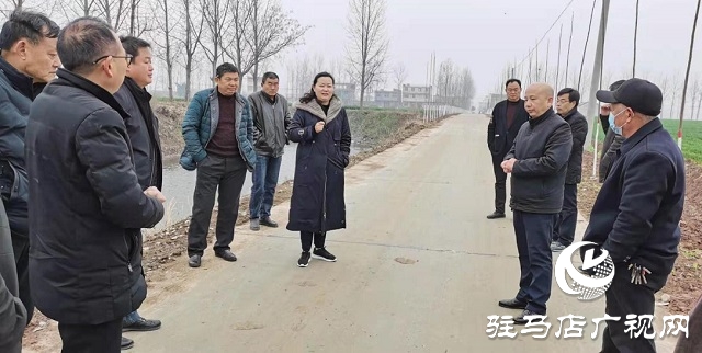 新蔡縣委常委王霞到楊莊戶鄉進行植樹造林觀摩工作