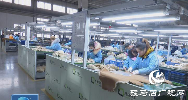 上蔡：優化營商環境 助力招商引資