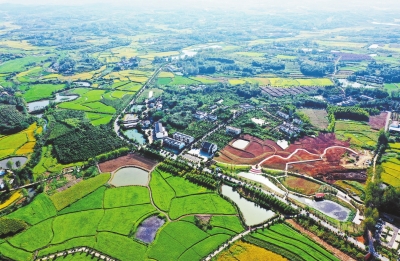 你好，小康丨光山縣東岳村：田園多彩 電商下鄉