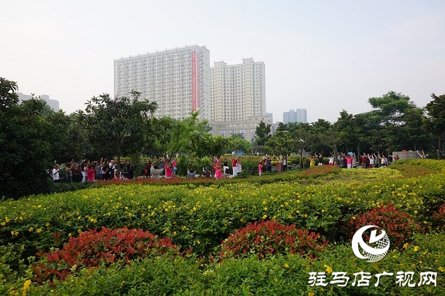 駐馬店驛城區：植樹添色彩 綠化助創文