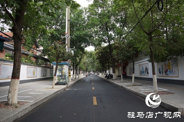 駐馬店驛城區：植樹添色彩 綠化助創文