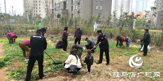 違規種菜不可取 勸導教育速清理