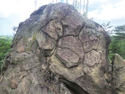 南陽發現遠古文明大量遺址遺跡的歷史定位及其時代價值探析