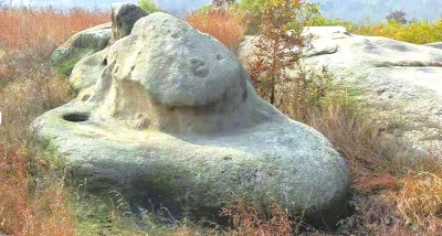 南陽發現遠古文明大量遺址遺跡的歷史定位及其時代價值探析