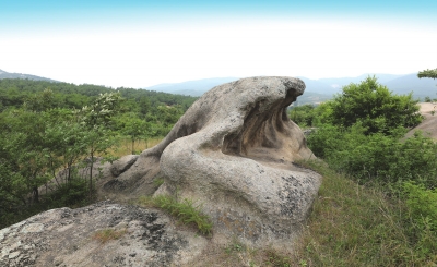 南陽發現遠古文明大量遺址遺跡的歷史定位及其時代價值探析