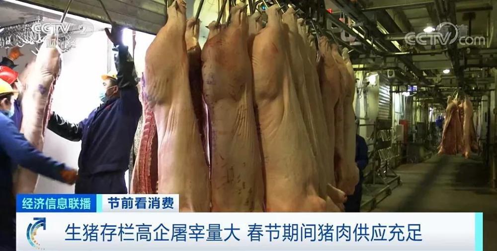 春節倒計時豬肉價格連降5周！旺季不旺咋回事？