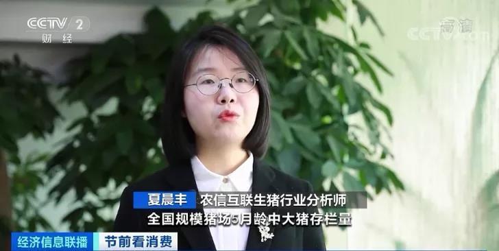 春節倒計時豬肉價格連降5周！旺季不旺咋回事？