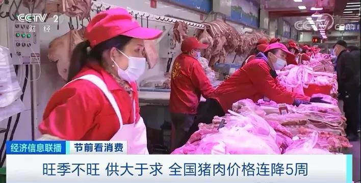 春節倒計時豬肉價格連降5周！旺季不旺咋回事？