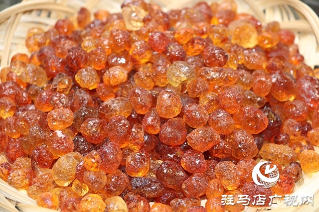 確山野生農產品銷售大放奇彩