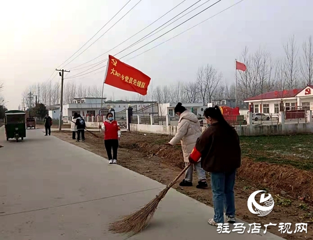 上蔡縣大路李鄉：285名返鄉大學生投身農村人居環境整治行動