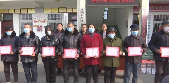 正陽縣彭橋鄉大劉村“掃黃打非”工作站 基層網格員作用大
