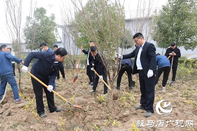 駐馬店弘康環保公司舉行植樹活動