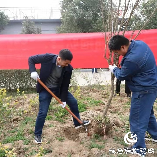 駐馬店弘康環保公司舉行植樹活動