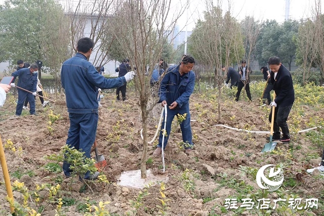 駐馬店弘康環保公司舉行植樹活動