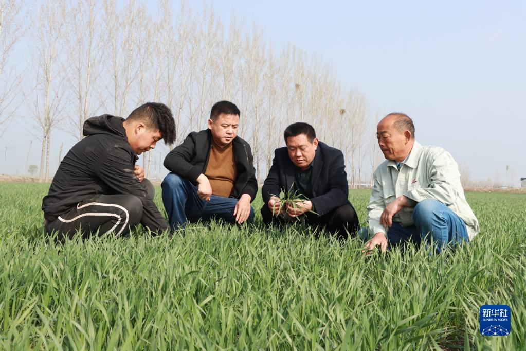 一年之計在于春丨解決農民關心事——各地各部門多措并舉推動農資穩價保供