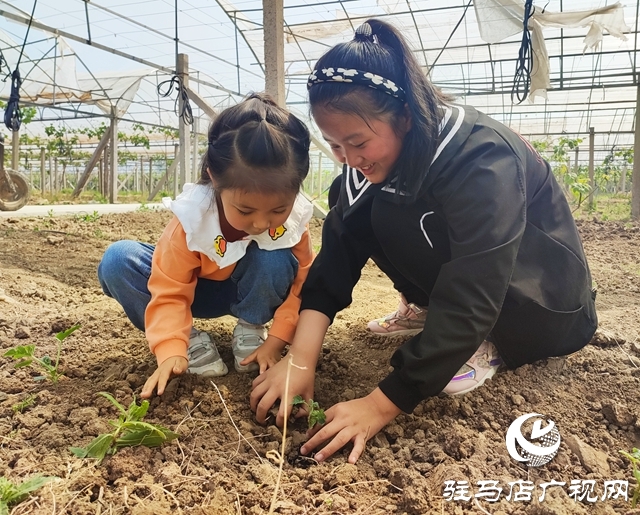 遂平杰美莊園：認養早春西瓜 見證小生命成長