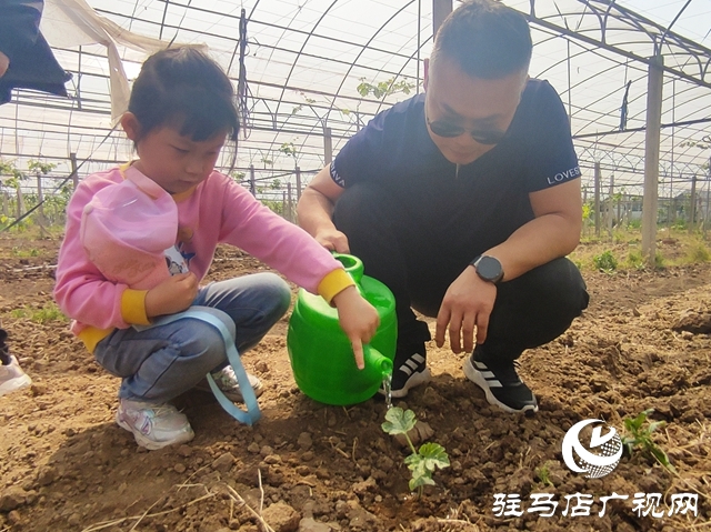 遂平杰美莊園：認養早春西瓜 見證小生命成長