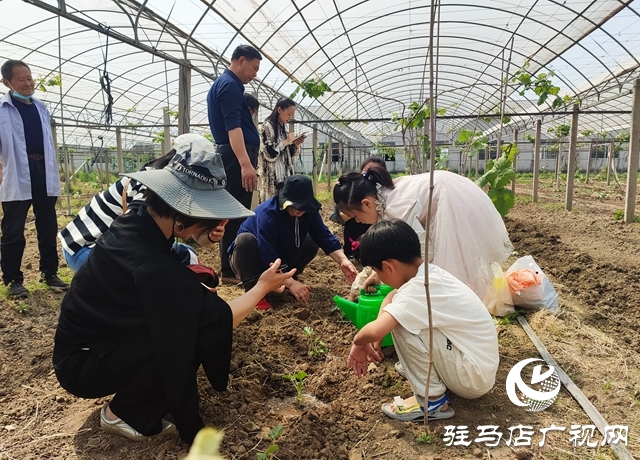 遂平杰美莊園：認養早春西瓜 見證小生命成長