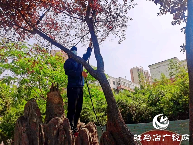 開發區城管局：及時整治游園“飛線” 消除安全隱患