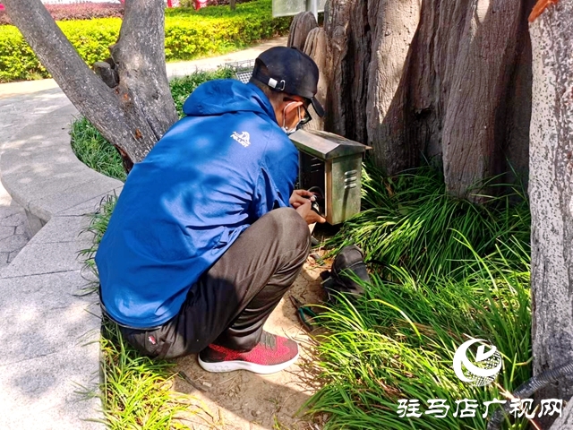 開發區城管局：及時整治游園“飛線” 消除安全隱患