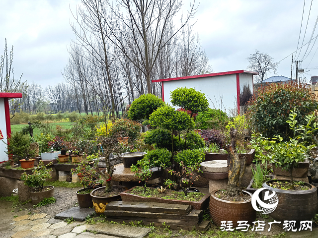 上蔡縣大路李鄉：強“本手”、創“妙手”、減“俗手”助力人居環境大嬗變