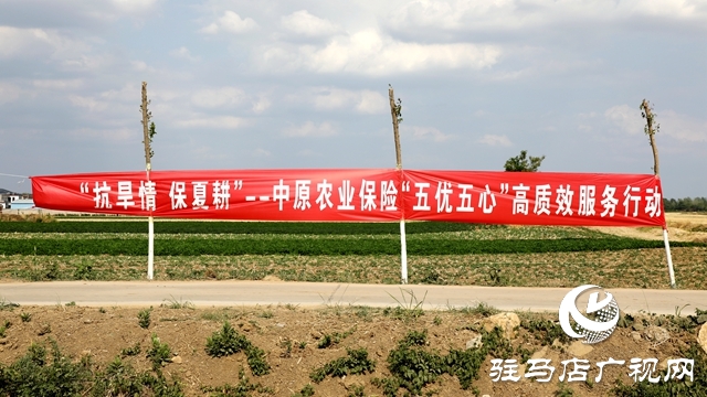 23套抗旱設備！這家公司向泰山廟鎮捐贈“及時雨”