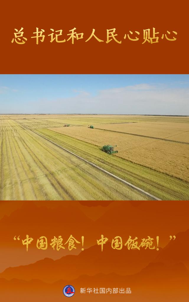 總書記和人民心貼心丨“中國糧食！中國飯碗！”